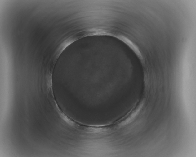 X0000111861289200908131452