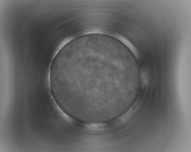 X0000111861290200908131452