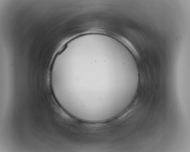 X0000111861292200908131452