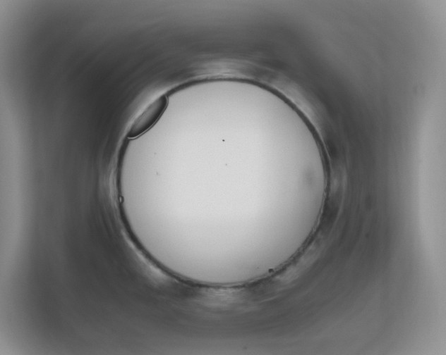 X0000111861293200908131452