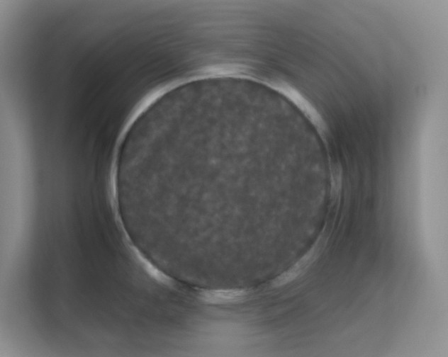 X0000111861294200908131451