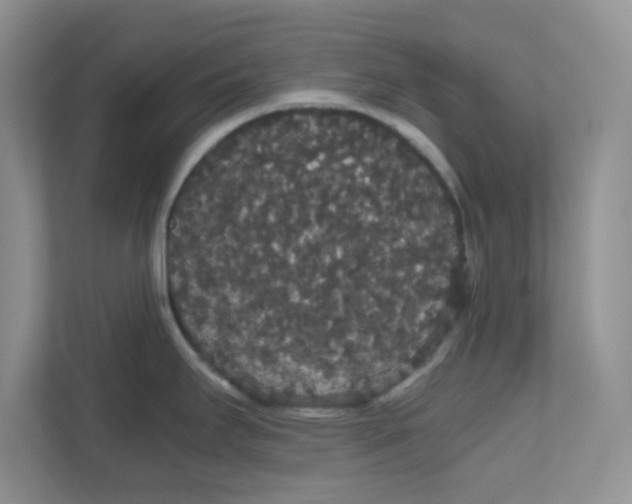 X0000111861295200908131451