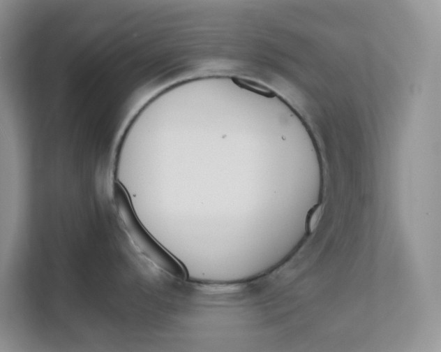 X0000111861296200908131451