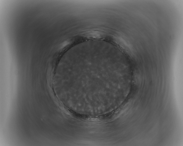 X0000111861297200908131451