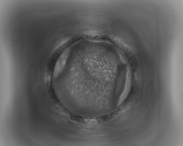 X0000111861302200908131451