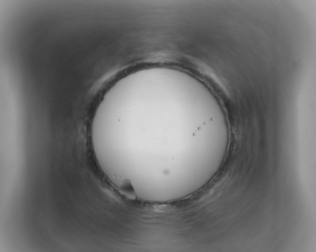 X0000111861304200908131451