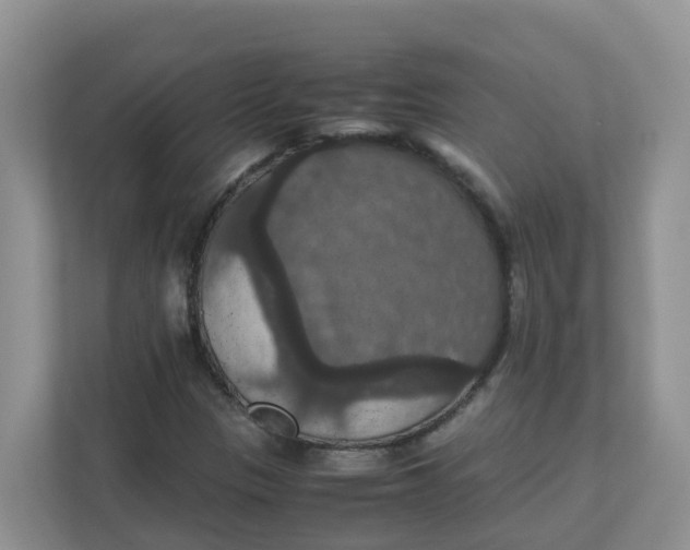 X0000111861305200908131451