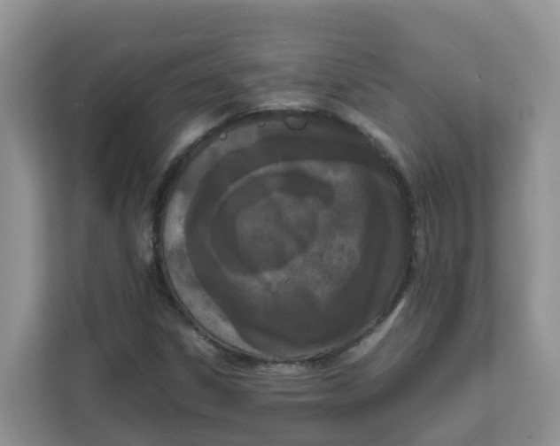 X0000111861306200908131451