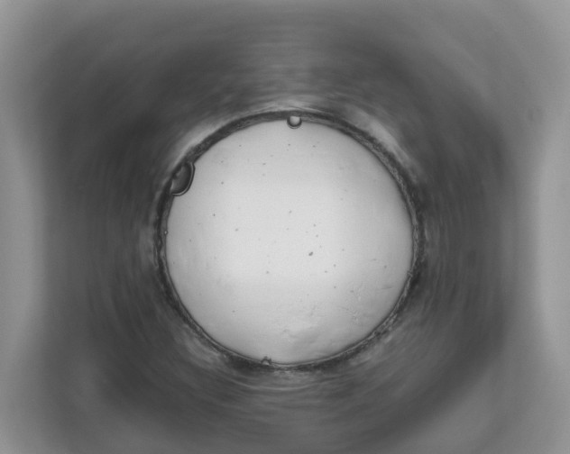 X0000111861308200908131451