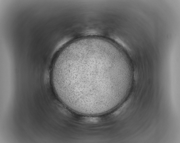 X0000111861309200908131451