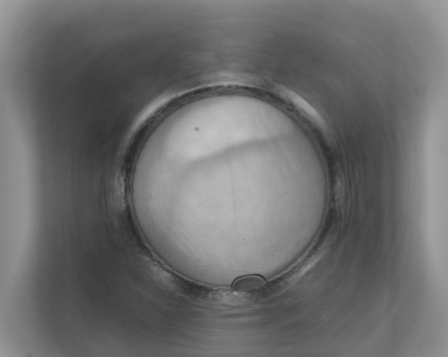 X0000111861310200908131451