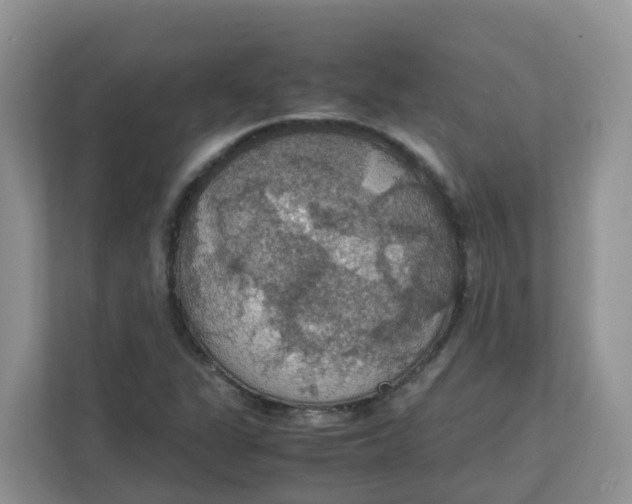 X0000111861311200908131451