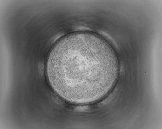 X0000111861313200908131451