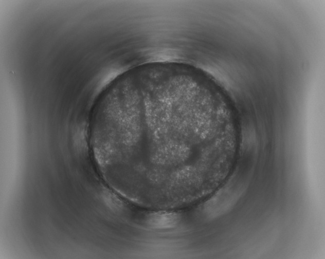 X0000111861314200908131451