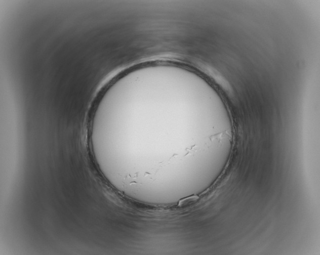 X0000111861316200908131451