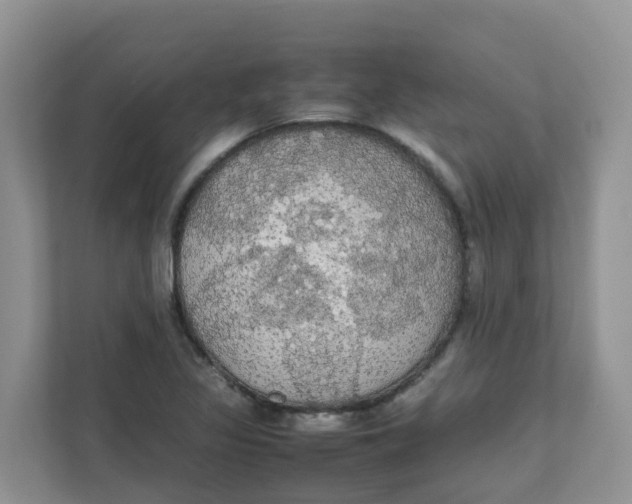 X0000111861317200908131451