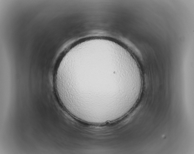 X0000111861318200908131451