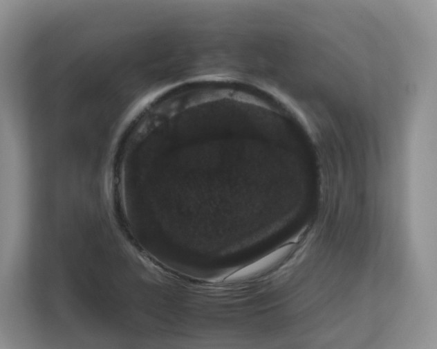 X0000111861319200908131451