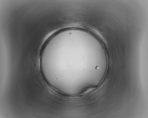 X0000111861320200908131451