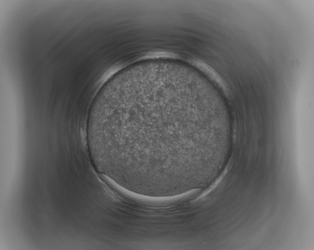 X0000111861321200908131451