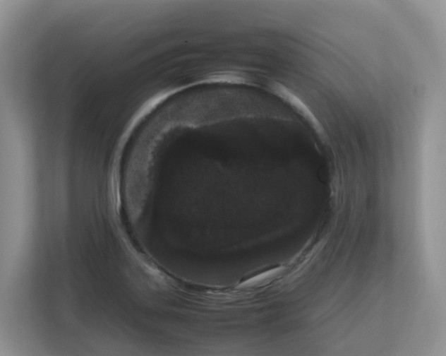 X0000111861323200908131451