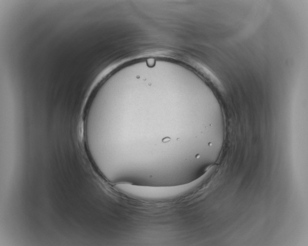 X0000111861324200908131451