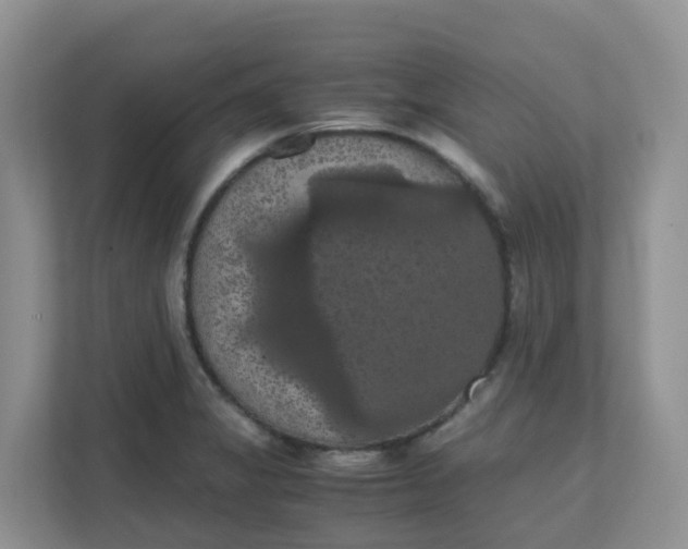 X0000111861325200908131451