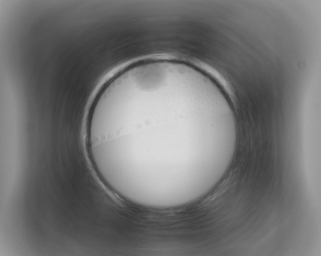 X0000111861327200908131451