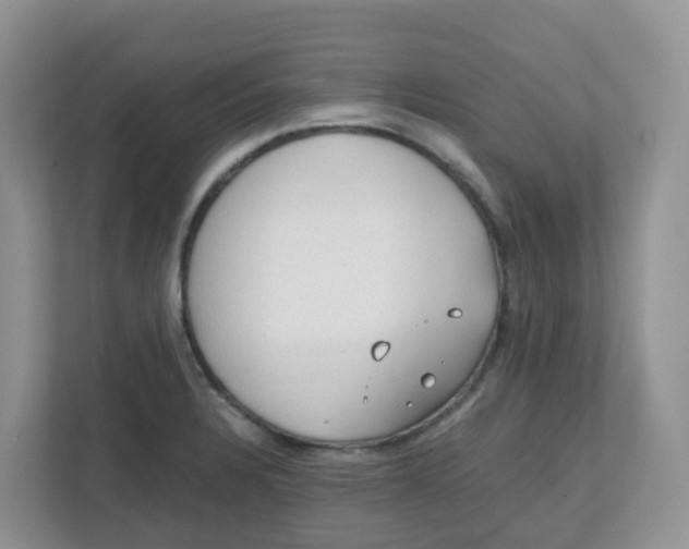 X0000111861328200908131451