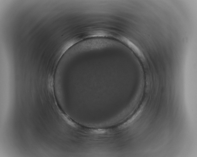 X0000111861329200908131451