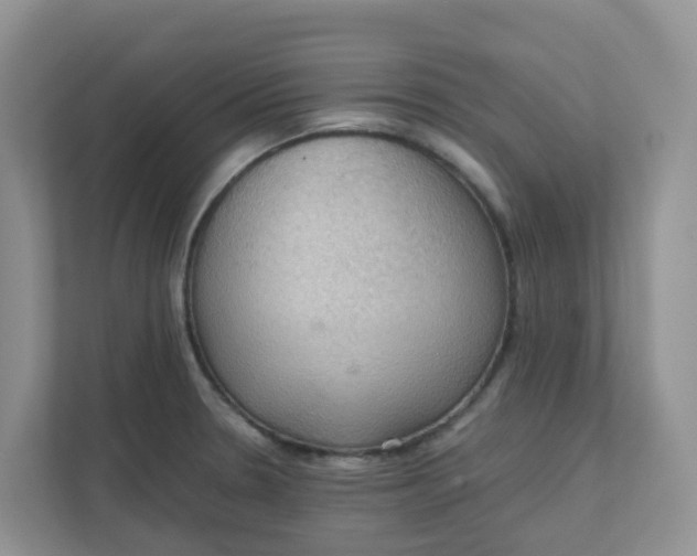 X0000111861330200908131451