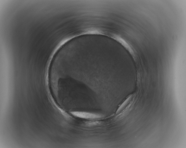 X0000111861331200908131451