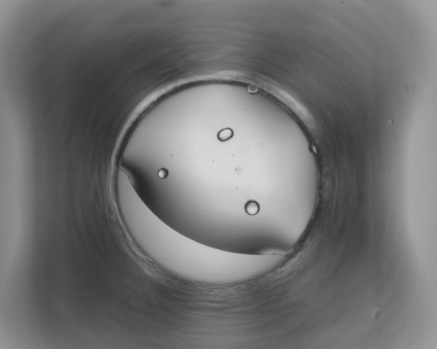 X0000111861332200908131451