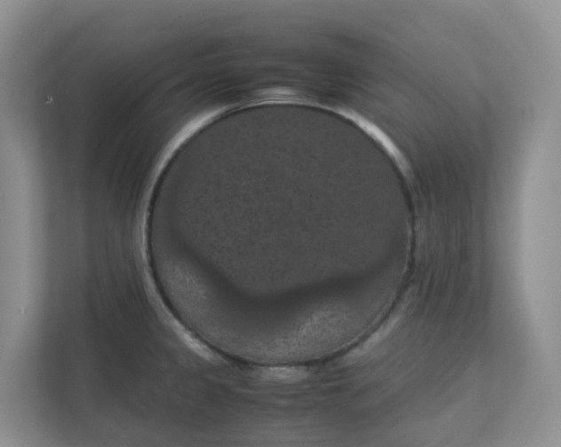 X0000111861333200908131451