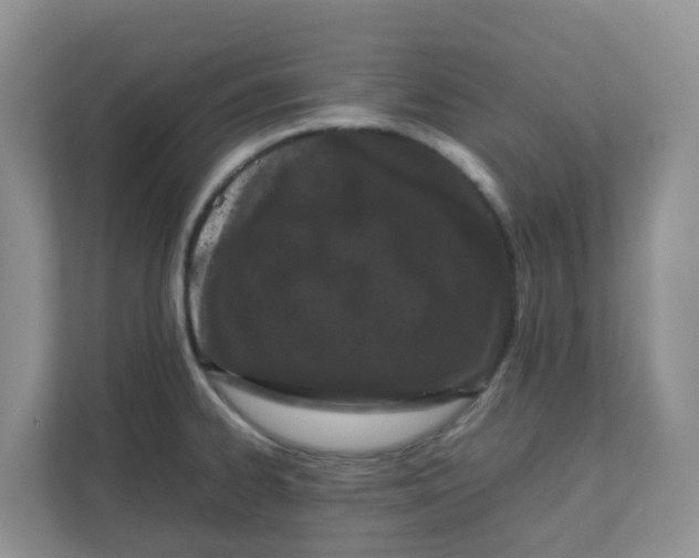 X0000111861334200908131451