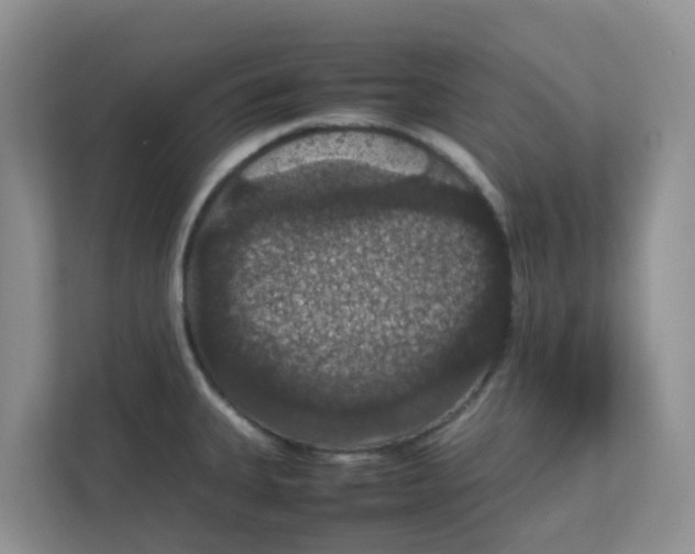 X0000111861335200908131451