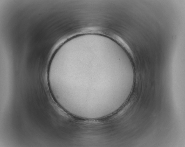 X0000111861336200908131451