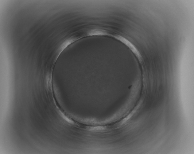 X0000111861337200908131451