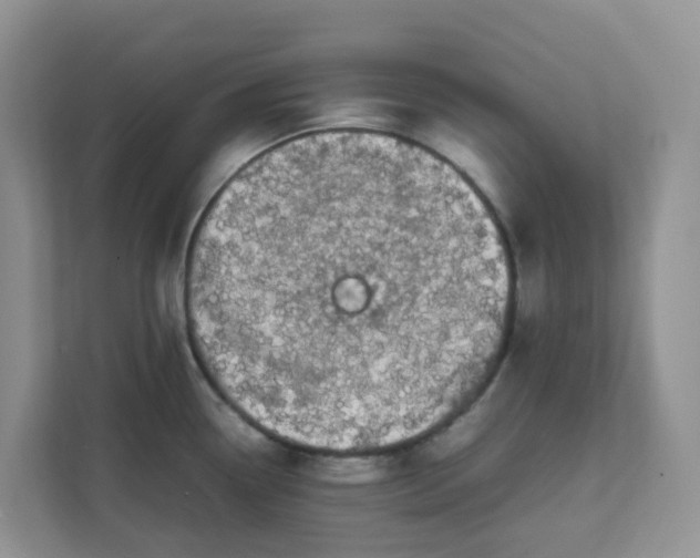 X0000111861338200908131451