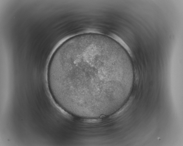 X0000111861339200908131451