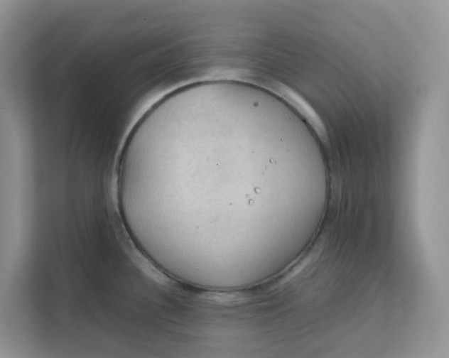 X0000111861340200908131451