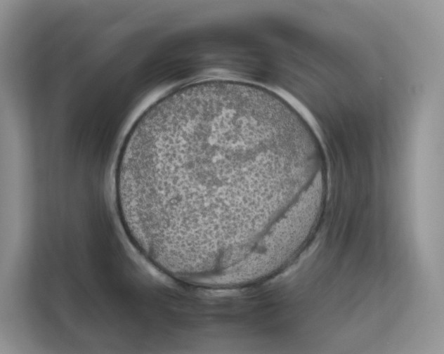 X0000111861341200908131451