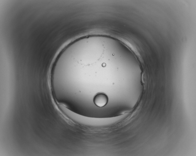 X0000111861342200908131451