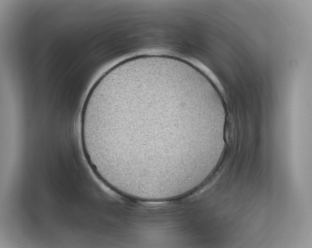 X0000111861343200908131451