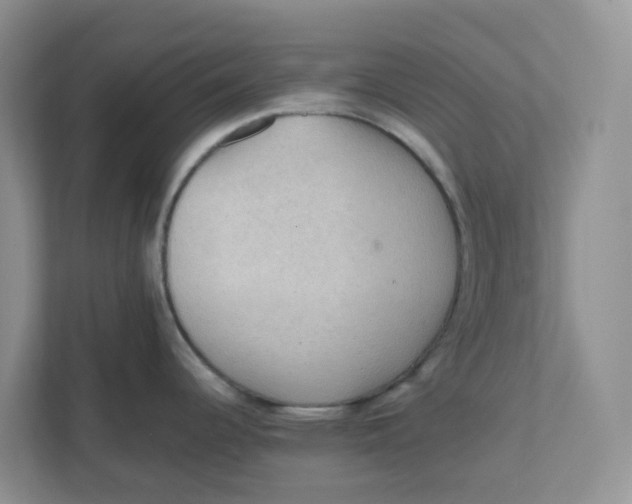 X0000111861344200908131451