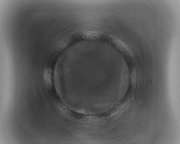 X0000111861346200908131451