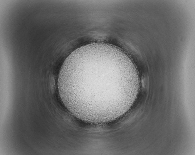 X0000111861347200908131451