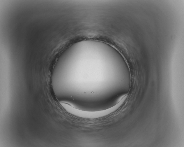 X0000111861349200908131451