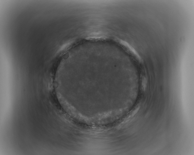 X0000111861350200908131451