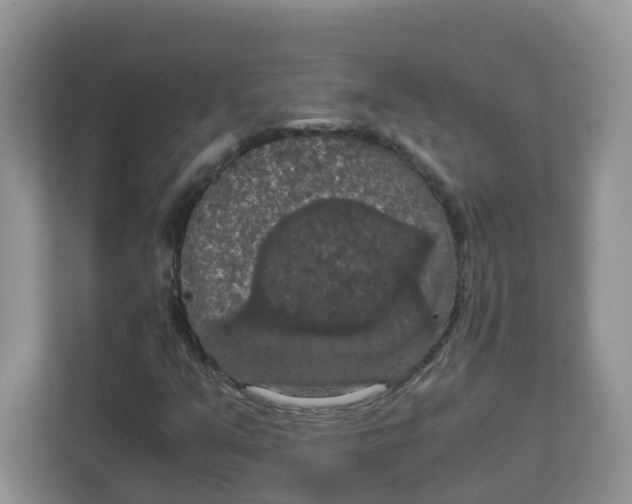 X0000111861351200908131451